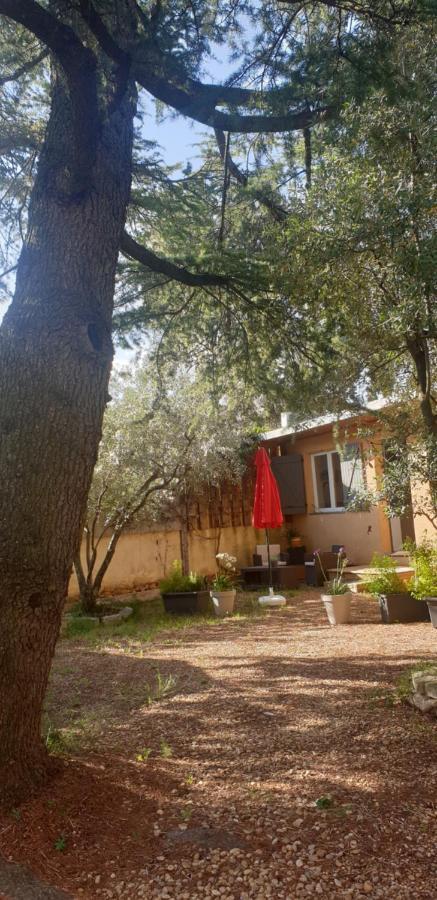 Villeneuve-lès-Avignon La Vigne Et L'Olivier 아파트 외부 사진